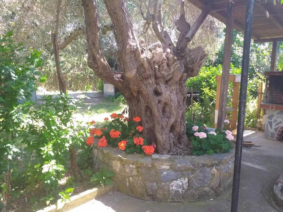 Zephyr Guest House Lefokastro Extérieur photo
