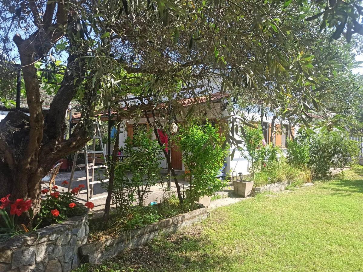 Zephyr Guest House Lefokastro Extérieur photo